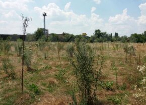 FOTO Imagini din Jurassic: în 2000 era cea mai tare bază a unei echipe de la noi, acum arată înfiorător!