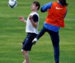 Steaua