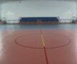 Calităţile sportive