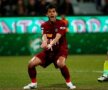 cfr, steaua, dica