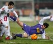 rapid, poli timisoara