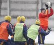 GALERIE FOTO / Naţionala Under-23 pregăteşte amicalul cu Italia la Mogoşoaia