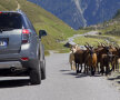 FOTO & VIDEO: Drive test Chevrolet Captiva » A aruncat mănuşa