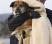 Orice viata conteaza. Membrii Garzii de Coasta au salvat un catel (foto: Agerpres)