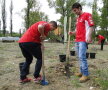 FOTO // Dinamoviştii se gîndesc la natură! Au plantat copaci la Bragadiru