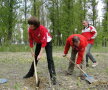 FOTO // Dinamoviştii se gîndesc la natură! Au plantat copaci la Bragadiru