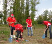 FOTO // Dinamoviştii se gîndesc la natură! Au plantat copaci la Bragadiru
