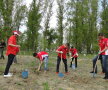 FOTO // Dinamoviştii se gîndesc la natură! Au plantat copaci la Bragadiru