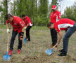FOTO // Dinamoviştii se gîndesc la natură! Au plantat copaci la Bragadiru