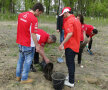 FOTO // Dinamoviştii se gîndesc la natură! Au plantat copaci la Bragadiru