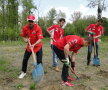 FOTO // Dinamoviştii se gîndesc la natură! Au plantat copaci la Bragadiru