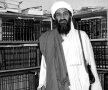 FOTO & VIDEO Osama Bin Laden, omorît în Pakistan de forţele americane