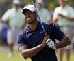 Tiger Woods a cîştigat 75 de milioane de dolari între mai 2010 şi mai 2011