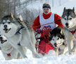 Sanie trasa de caini (foto: Reuters)