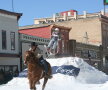 Skijoring