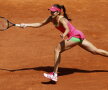 Ana Ivanovic 