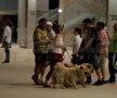 Bucureștenii au
venit direct din
parc la National
Arena, cu tot cu
cîini