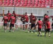 Dinamoviştii s-au antrenat fără Liviu Ciobotariu