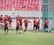 Dinamoviştii s-au antrenat fără Liviu Ciobotariu