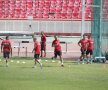 Dinamoviştii s-au antrenat fără Liviu Ciobotariu