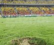 Gazonul de pe National Arena nu a rezistat mai mult de 10 minute. La finalul meciului acesta arata ca un "cîmp de cartofi", după descrierea presei franceze