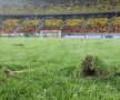 Gazon National Arena la meciul România - Franţa