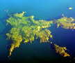 Insula Sark este gazda celei mai slabe naţionale din lume