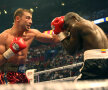 Lucian Bute - Fulgenico Zuniga, martie 2009 KO runda 4 Foto:Agerpres