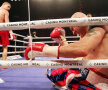 Lucian Bute - Jesse Brinkley, octombrie 2010 KO runda 9 Foto: Mediafax Foto