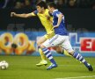 Imagini de la Schalke - Steaua