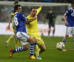 Imagini de la Schalke - Steaua