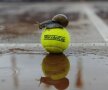 Încercînd să se ferească de apă, un melc şi-a găsit refugiul pe o minge de tenis. Turneul de la Stuttgart.