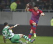 VIDEO & FOTO » Steaua - Voinţa Sibiu 1-0. Iliev aduce victoria în ultimul meci din 2011