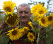 À la Van Gogh
Dan Podeanu, antrenorul spadasinelor de aur mondial şi european, pozează într-un lan de floarea-soarelui. Adică un fel de acasă Foto: Cristi Preda
