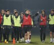 Antrenamente Rapid
