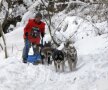 La 55 de ani, Jozsef e
devotat celor șase husky