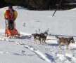 Sania lui Erno e condusă de
doar trei husky: unul a devenit
indisponibil în prima zi de concurs