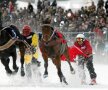 Un altfel de skijoring 