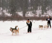 FOTO! Cum spulberi metri de zăpadă: la skijoring, tras de Bentley!