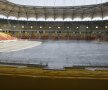 Gigi Becali a inspectat gazonul de pe Arena Naţională