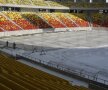 Gigi Becali a inspectat gazonul de pe Arena Naţională