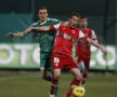 Dinamo a remizat cu Ludogorets