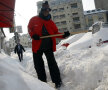 GALERIE FOTO Heirup prin zăpadă! » Rugbiştii şi baschetbaliştii au ajutat la deszăpezirea Bucureştiului