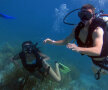 Scuba diving în Mauritius