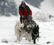 FOTO Insider în regatul Husky » Lumea fascinantă a cîinilor nordici de competiţie