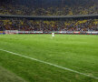 După meciul inaugural România - Franța 0-0, 6 septembrie 2011, gazonul de pe Național Arena arăta ca un cîmp de cartofi