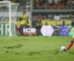 Gazonul de pe Naţional Arena a părut un cîmp plin de muşuroaie de cîrtiţe la primul meci