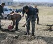 Claudiu Niculescu a dat tonul la plantarea copacilor