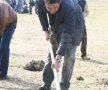 Claudiu Niculescu a dat tonul la plantarea copacilor