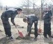 Claudiu Niculescu a dat tonul la plantarea copacilor